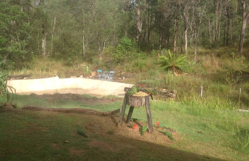 Gurranang House | Escape to Yamba Hinterland: Unique Magic Bus Retreat