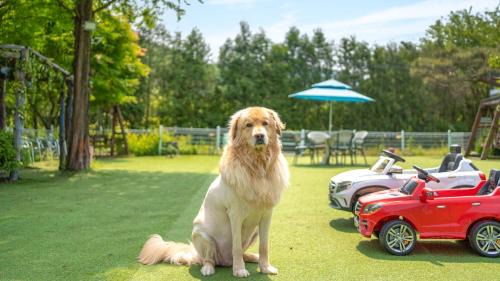 Hongcheon House | Yangpyeong dodam dodam pension