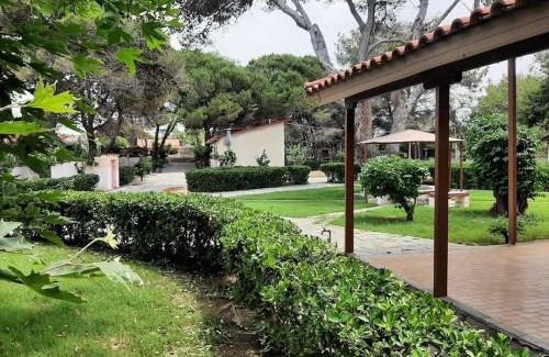 Pyrgos Villa | Yannis Villa: Oceanfront Retreat with 9.8/10 Guest Ratings