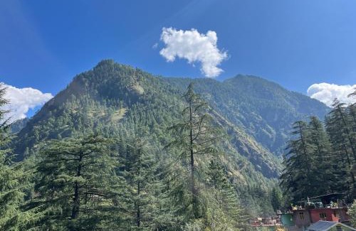 Kasol House | Cozy Yashi Kasol Cottage: Pet and Child Friendly Retreat