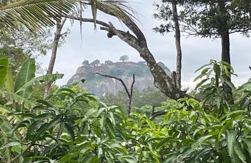 Sigiriya House | Budget-Friendly Yashi's Place Sigiriya with Breakfast Included