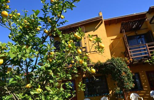 Colon House | Family-Friendly Yataí Casas with Oceanfront Views