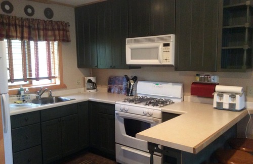 Orr Cabin | Cozy Ash Lake Private Cabin with Pool & Pet-Friendly Amenities