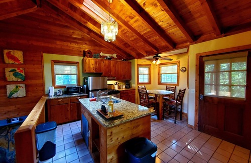 Blue Ridge Cabin | Experience Year-Round Mountain Views and Pet-Friendly Comfort