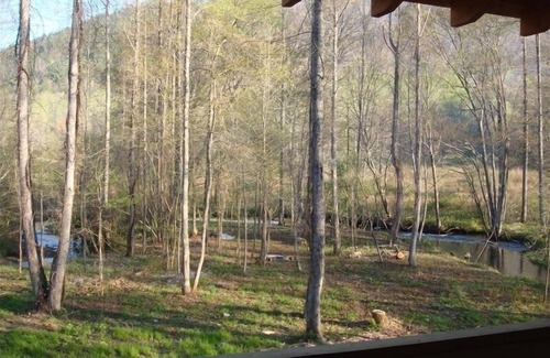 Robbinsville Cabin | Discover Yellow Creek Cabin: Family-Friendly Retreat by Stream
