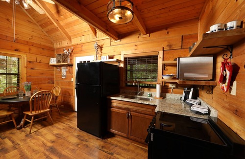 Townsend Cabin | Family-Friendly Yellow Door Cabin with Hot Tub & Fire Pit