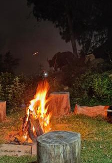 Kodaikanal Villa | Exceptional Yellow Tree: Family-Friendly with Breakfast Included