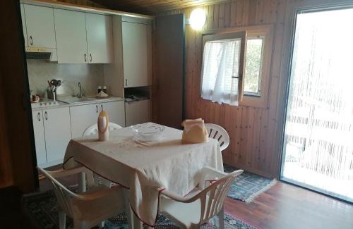 Punta Braccetto House | Oceanfront Retreat: Yhomisus sul Mar with Pet-Friendly Perks