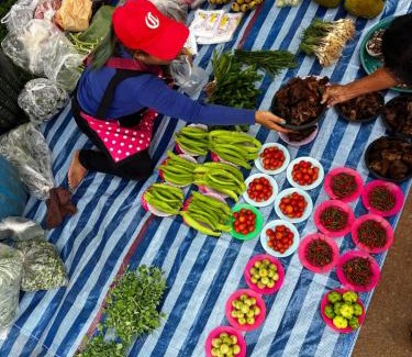 Mueang Ngai Other | Yidan Farmstay in Chiang Dao