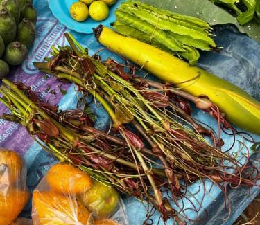 Mueang Ngai Other | Yidan Farmstay in Chiang Dao