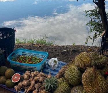 Mueang Ngai Other | Yidan Farmstay in Chiang Dao