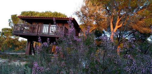 Grandola Cabin | Top-Rated Ying Yang Monte da Lua with Ocean Views & Pool