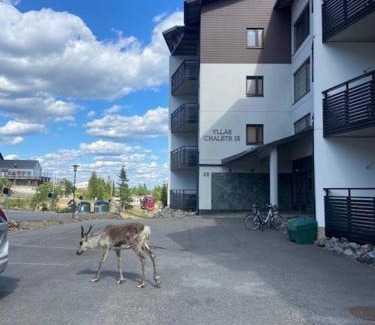 Yllas House | Cozy Ylläs Chalets IX A9104 with Hot Tub & 9/10 Rating