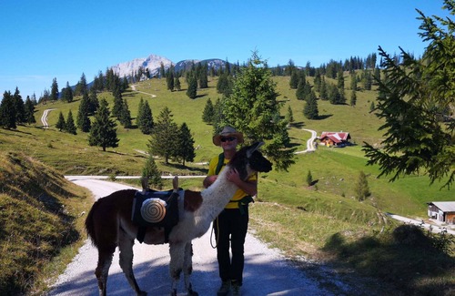 Schwaz Cabin | Tranquil Yoga Retreat with Meditation and Ayurvedic Cuisine