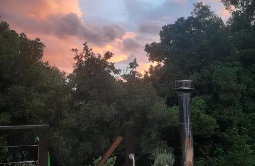 Curacavi Bed & Breakfast | Yoga y descanso en el bosque