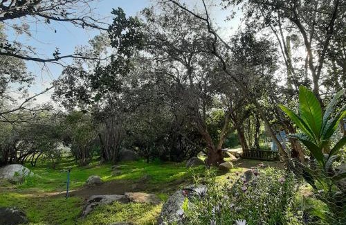 Curacavi Bed & Breakfast | Yoga y descanso en el bosque