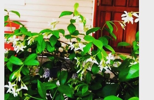 Cavuskoy Bed & Breakfast | Cozy Yolda Cafe Bungalow - Family-Friendly Retreat