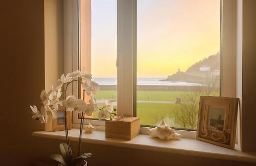Youghal Apartment | Youghal Hotel: Oceanfront Bliss for Families and Pets