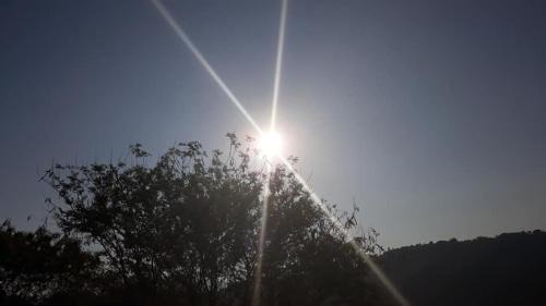 Antipolo Other | Pet-Friendly Getaway at YOUMEBED MOTOR INN Kambal Kubo