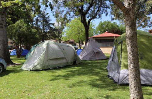 Young Other | Welcome to Young Caravan and Tourist Park: Family-Friendly Escape