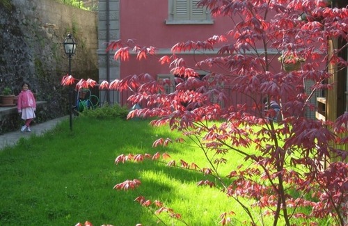 Saturnana Villa | Your Perfect Retreat in Tuscany: Free WiFi & Jacuzzi