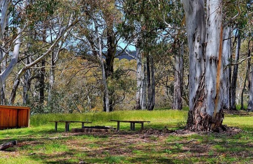 Adaminaby Cabin | Experience Unforgettable Holidays in the Snowy Mountains
