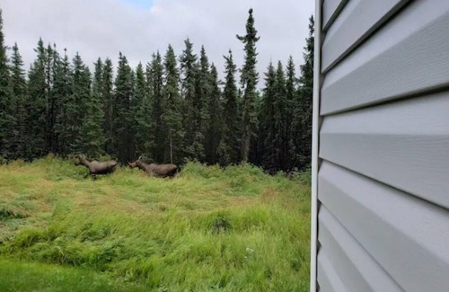 Fairbanks House | Your Cozy Hive Away From Home with Breakfast Included!