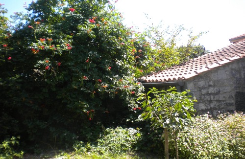 Ruoms House | Experience Unforgettable Holidays in Southern Ardèche