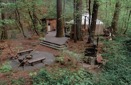 Nevada City Cabin | Private Yurt Retreat in the Woods - 9.8 Rated & Pet Friendly