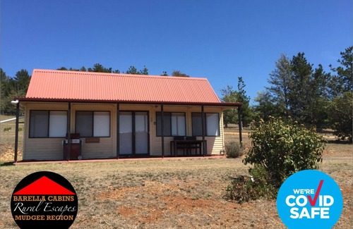 Kains Flat Cabin | Relaxing Rural Retreat with Ocean View and Pet-Friendly Perks