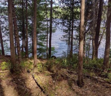 Abitibi-Temiscamingue Other | Yourte