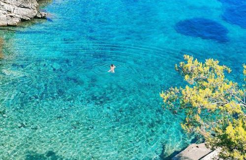 Blato Villa | Yucca Bay Korcula