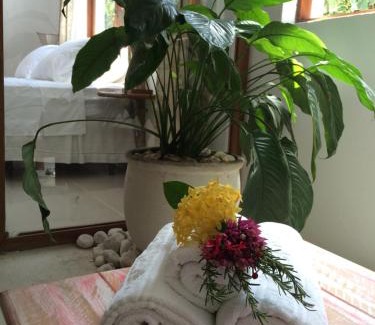 Arraial d'Ajuda Bed & Breakfast | Oceanfront Yucca Pousada: 4-Star Stay with Excellent Amenities