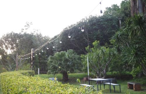 Nong Nam Daeng Resort | Discover Yura Kiri Resort Khao Yai: Family-Friendly Escape