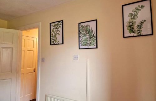 St. Davids House | Yuriko: Family-Friendly Retreat with a Perfect 10/10 Rating