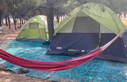 Qatsrin Other | Family-Friendly Yurt with High Guest Ratings and Unique Stay