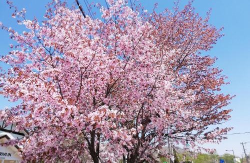 Noboribetsu Apartment | YUUYU Noboribetsu Onsen, Bear Ranch, Date Jidai Village