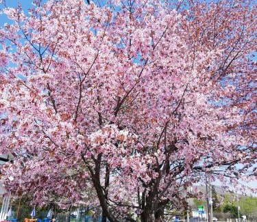 Noboribetsu Apartment | YUUYU Noboribetsu Onsen, Bear Ranch, Date Jidai Village