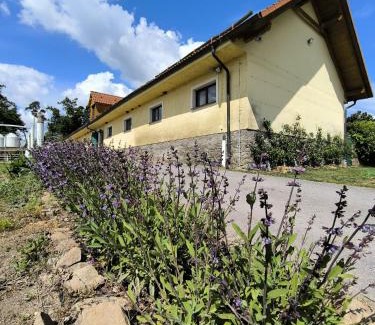 Hluchov House | Discover Zámeček nad Běleckým Mlýnem: Pet-Friendly Retreat