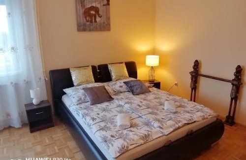 Hajduszoboszlo Apartment | Family-Friendly Escape at Zöld Béka Hőforrás Apartman