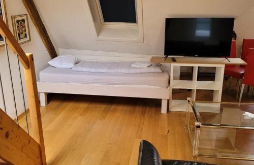 Sihlfeld House | Family-Friendly Homestay in Zurich City Center