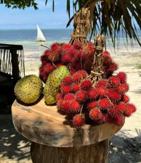 Kiwengwa Hotel | Pet-Friendly Retreat at Z-Breeze Zanzibar with Pool Access