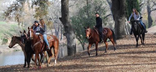 Templeton House | Family-Friendly Getaway at Z Ranch - Rated 9.3/10!