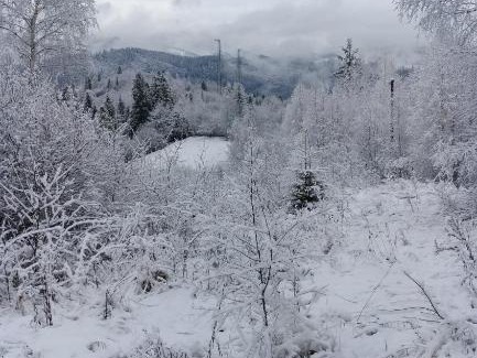 Slavske Cabin | Budget-Friendly Escape at Zacharovany Karpaty - 9.4 Rating