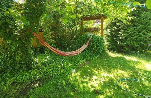 gmina Aleksandrow House | Experience Peace at Zagroda Podlas - Pet-Friendly Retreat