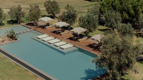 Skala Loutron Hotel | Discover Zaira Hotel: Pet-Friendly Oceanfront Retreat
