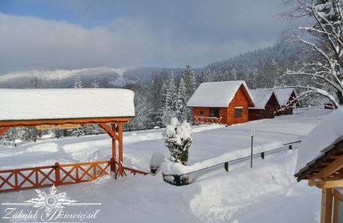 Przyborow Ski Chalet | Discover Zakątek DZIEWIĘĆSIŁ: 10/10 Rating & Hot Tub
