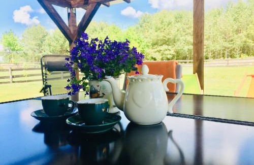 Prazmowo House | Discover Zakątek Salpia: Family-Friendly Retreat Awaits