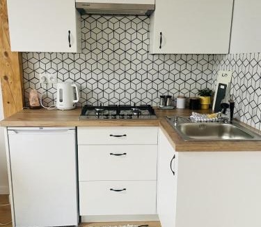 Bochnia House | Pet-Friendly Paradise with Ocean View at Zakątek Solny