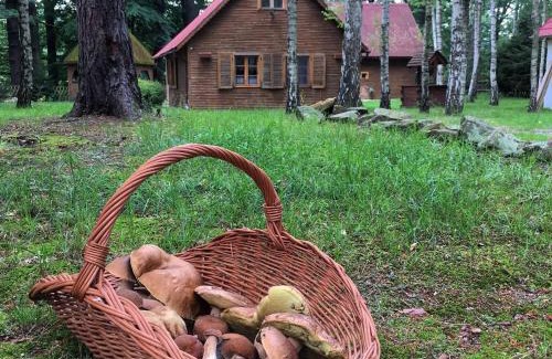 Osiecznica House | Discover Zakatek Kliczkow: Family-Friendly with Hot Tub